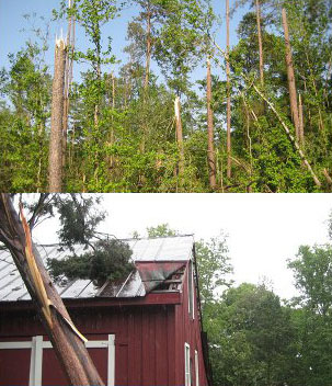 ef-0 tornado damage to trees and building