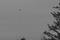 2024 GEM Camp Event Photo - GEM-091