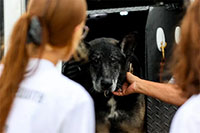 2024 GEM Camp Event Photo - GEM-124