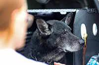 2024 GEM Camp Event Photo - GEM-125