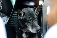 2024 GEM Camp Event Photo - GEM-127