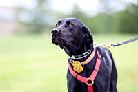 2024 GEM Camp Event Photo - GEM-128