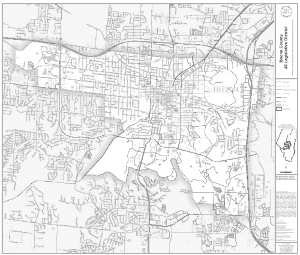 Interactive Legislative District 45