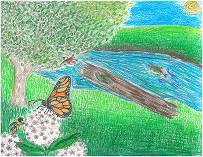 Colored pencil picture of a stream with wildlife