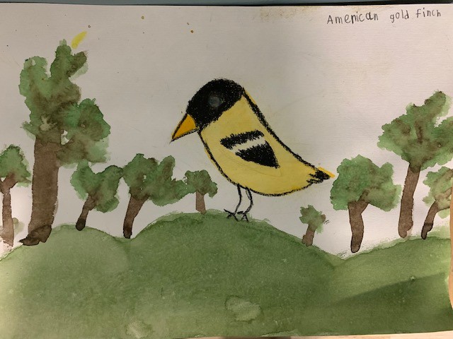 Watercolor of an American Gold Finch