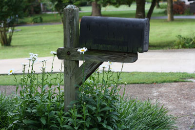2022 Boone County Property Tax Statements Have Been Mailed
