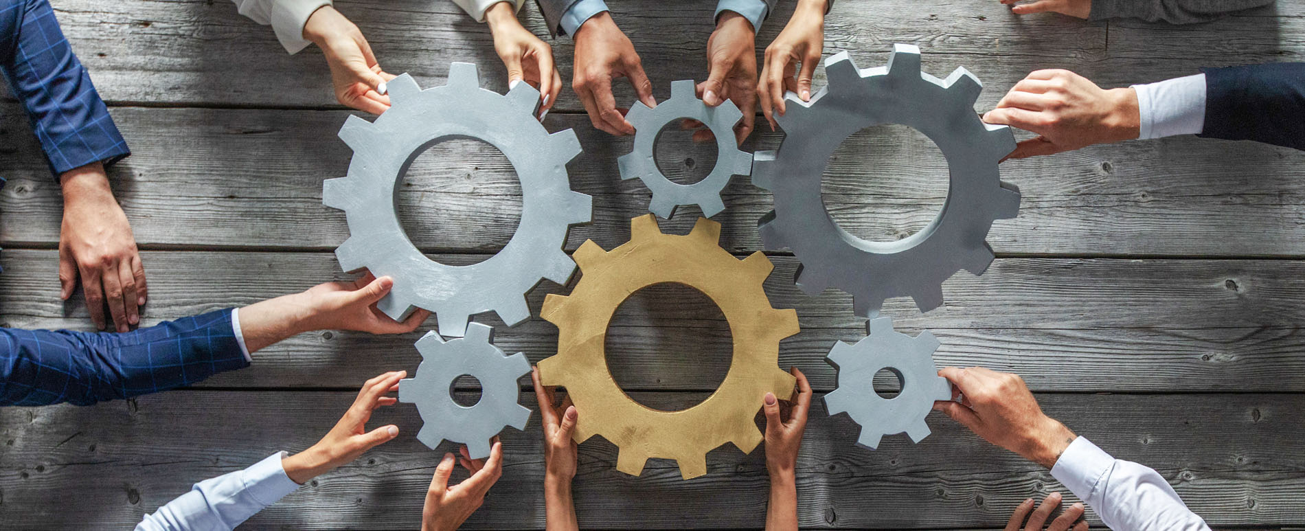 people's hands holding gears