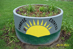 rain gardens help prevent erosion from standing water