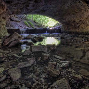 Rock Bridge Memorial State Park