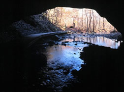 a Boone County stream flowing through a stream