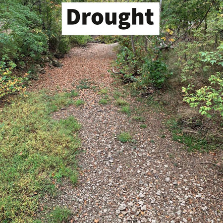 image of a dried up creek bed due to drought