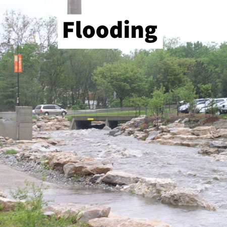 image of a sidewalk and adjacent area flooding