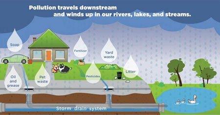 illustration of pollutants such as soap, fertilizer, pet waste, and litter traveling down to rivers, lakes, and streams with the stormwater