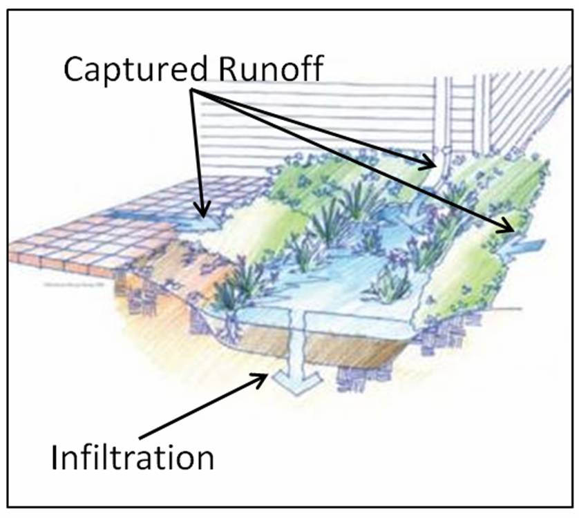 illustration depicts how captured rain garden runoff is infiltrated into the ground