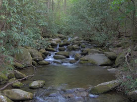 a Boone County losing stream flowing downward around bolders