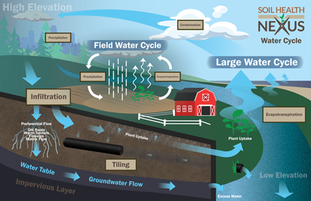 illustration of the agricultural water cycle